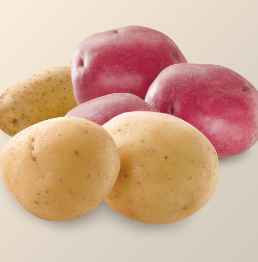 Reds & Golds Potato Variety
