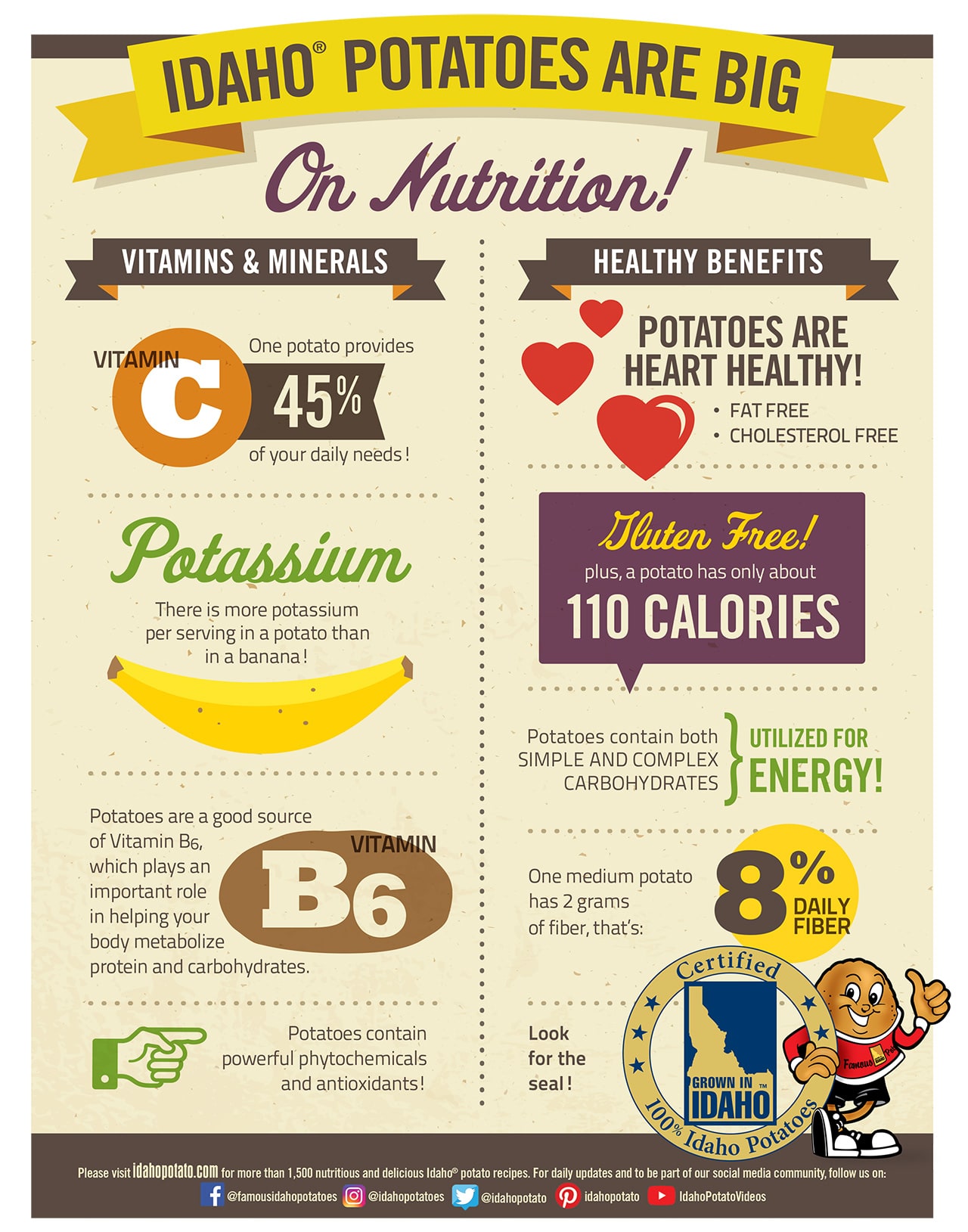 Nutrition Infographic